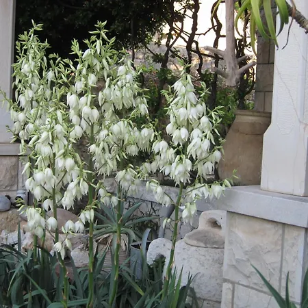 Maria Bilicic 2 ゲストハウス