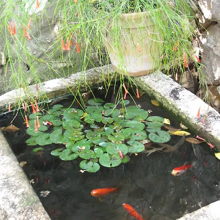 Maria Bilicic 2 Pensión Dubrovnik