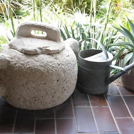 Maria Bilicic 2 Pensión