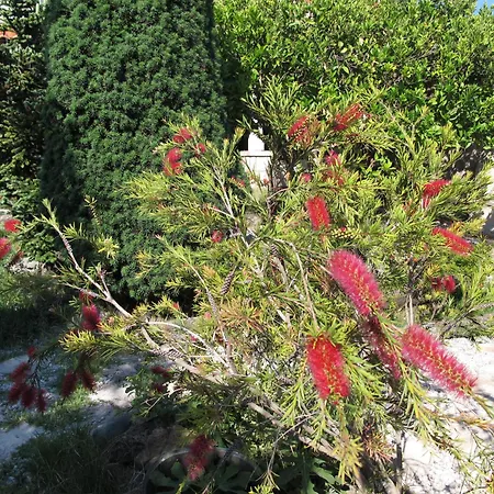 Pensión Maria Bilicic 2