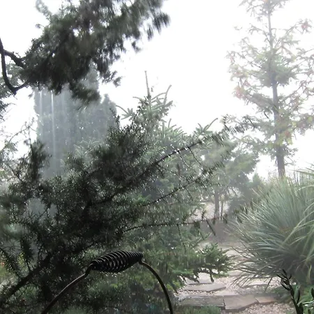 Maria Bilicic 2 Penzion Dubrovník