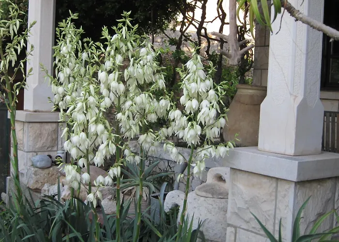 Maria Bilicic 2 招待所