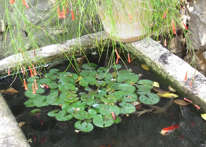 Maria Bilicic 2 招待所 杜布罗夫尼克