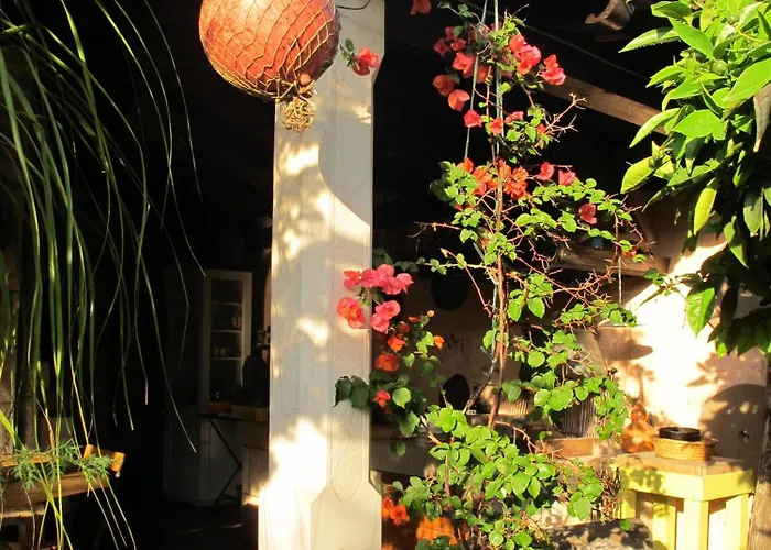 招待所 Maria Bilicic 2 杜布罗夫尼克