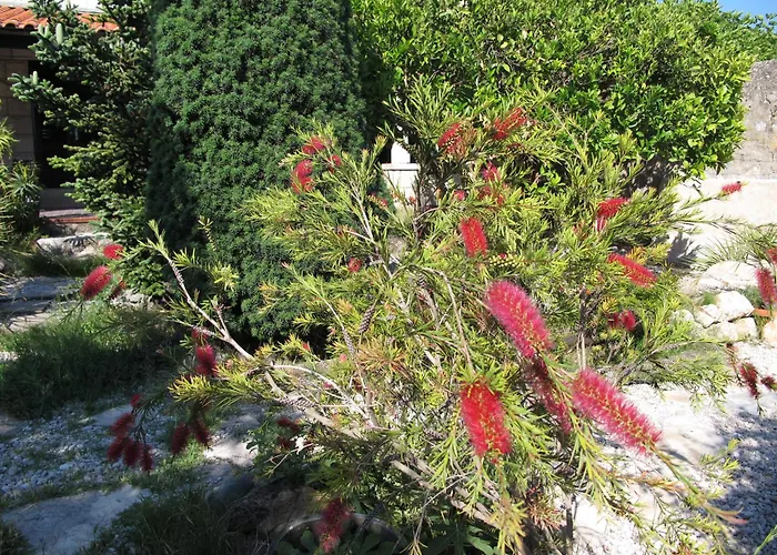 招待所 Maria Bilicic 2